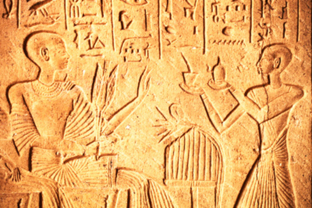 Fabricación de cerveza