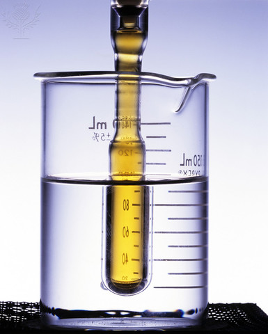 Principio de la Estabilidad de los Sistemas Termodinámicos