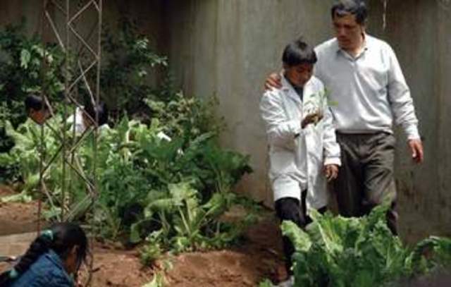 nuevas técnicas educación - presencial