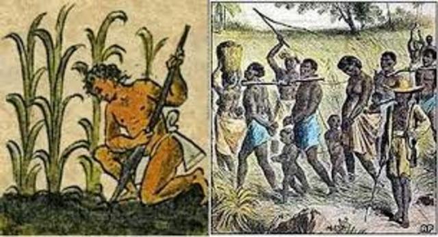 Antigüedad Grecolatina