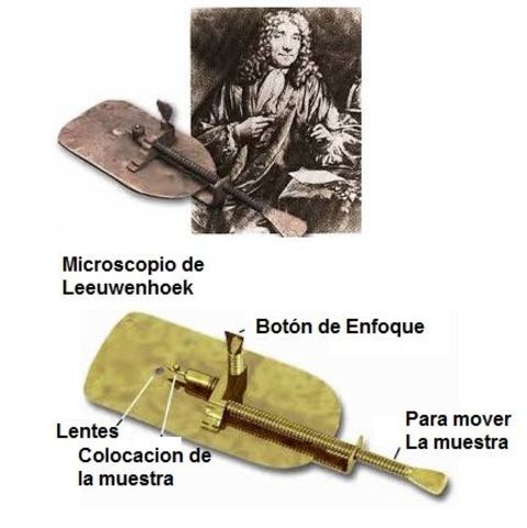 Anton van Leeuwenhoek