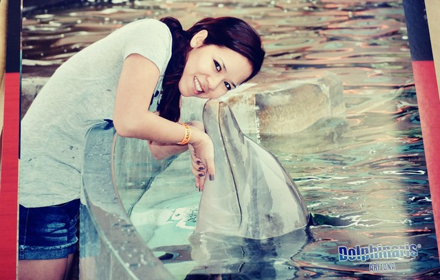 Road Trip to Phoenix, Arizona