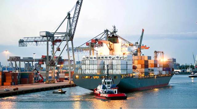 Publicación de 13 términos