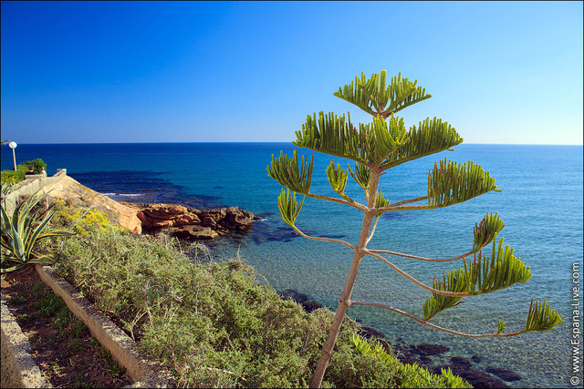 Video en alta defición