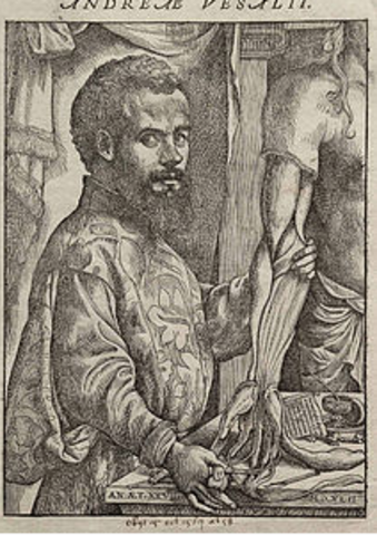 Andrés Vesalio