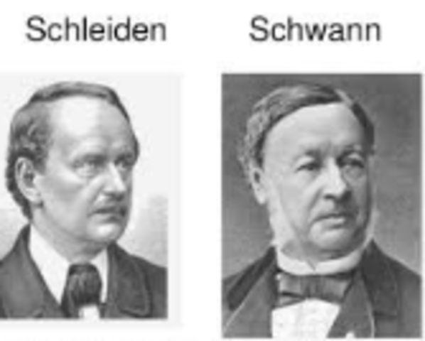 Matías Schleiden y Teodoro Schwann