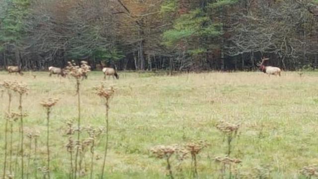 Hace cinco años que