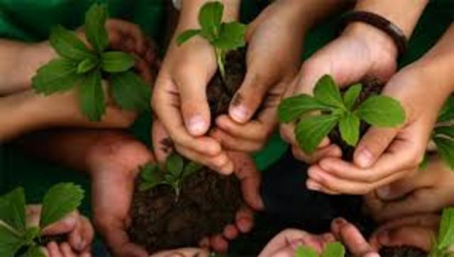 Segundo Congreso de Educación Ambiental