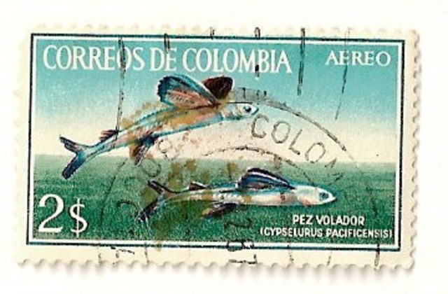 creación de administración correo aéreo
