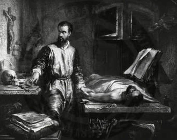 Andrea Vesalius