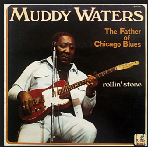 Muddy Waters and Chicago Blues