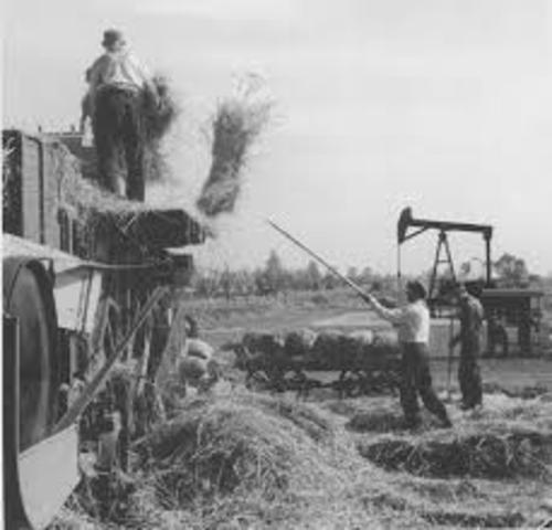 schaalvergroting (landbouw)