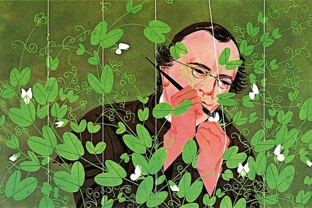 Nacimiento De Gregorio Mendel