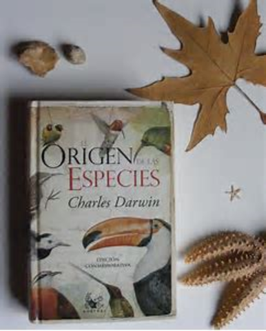 Mas puntos de su obra