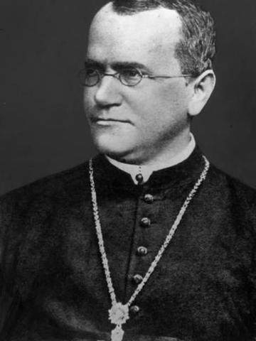 Gregorio Mendel es ordenado sacerdote