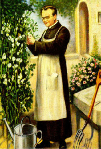 Cultivó y estudió cerca 28 000 plantas de la especie Pisum sativum (guisante)