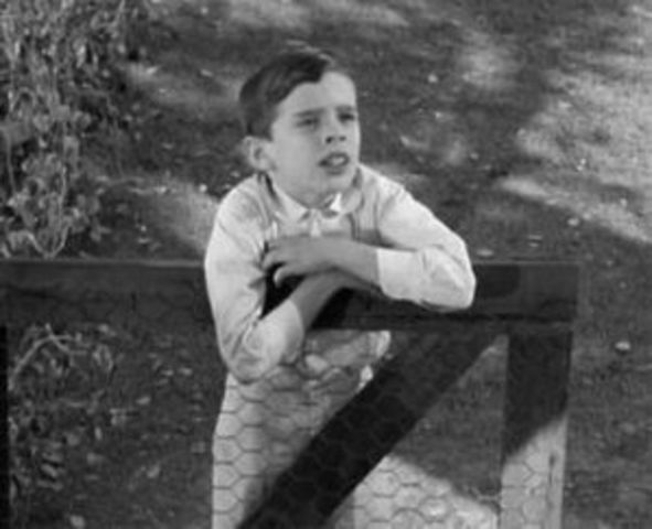 Dill decides to make Boo Radley come out.