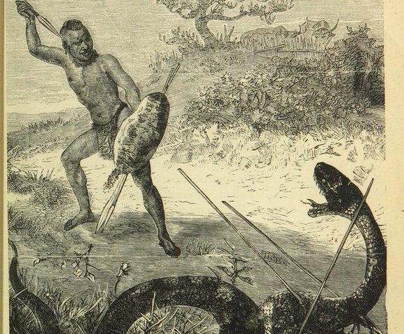 Expedicions de Livingstone