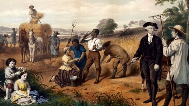 Des colonies en croissance