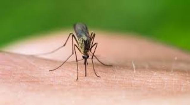 concepto de salud y enfermedad