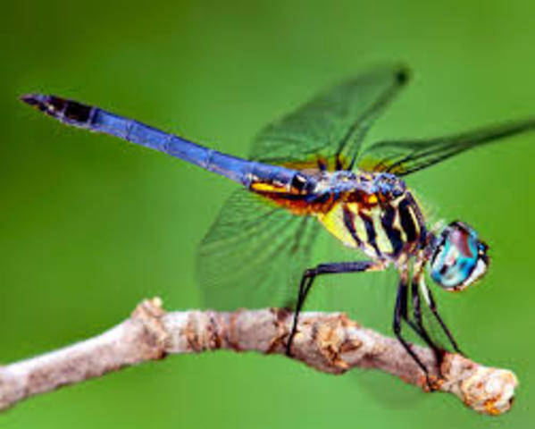 Una nueva generacion