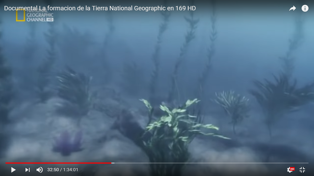 Evolucion de las bacterias