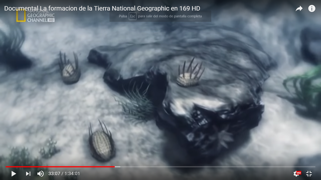 Segunda evolución de las bacterias