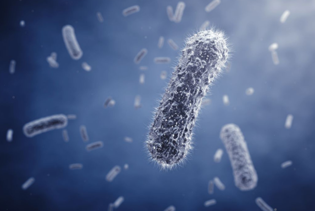 Lluvia de meteoritos creadoras de vida