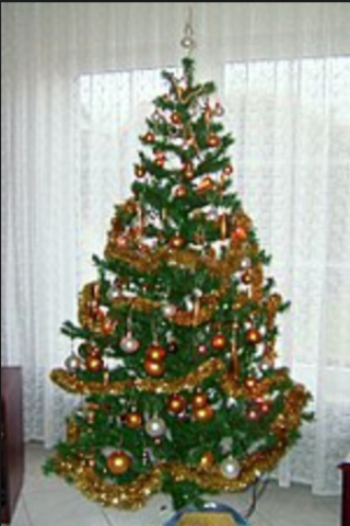 Tuve mi primero navidad