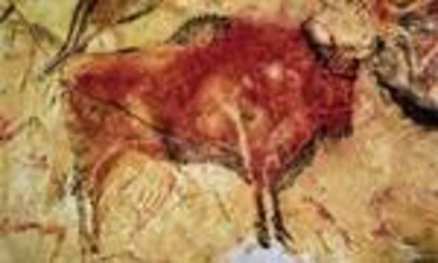 ARTE RUPESTRE- TEMATICA