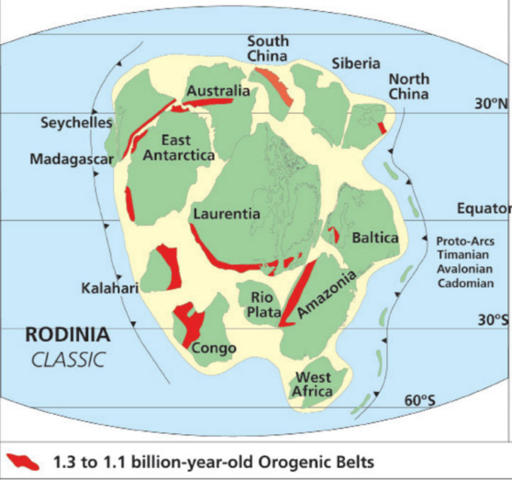 Rodinea