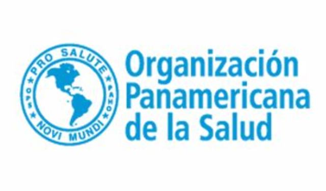 La OPS establece tres niveles de enfermería (con nivel académico superior, básico y auxiliares)