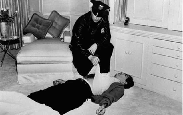 THE LANA TURNER AFFAIR