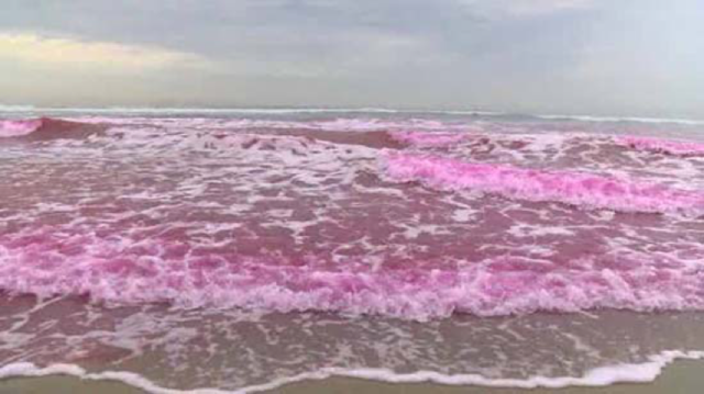Oceano Rosa