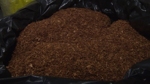 La contrebande et ses méfait