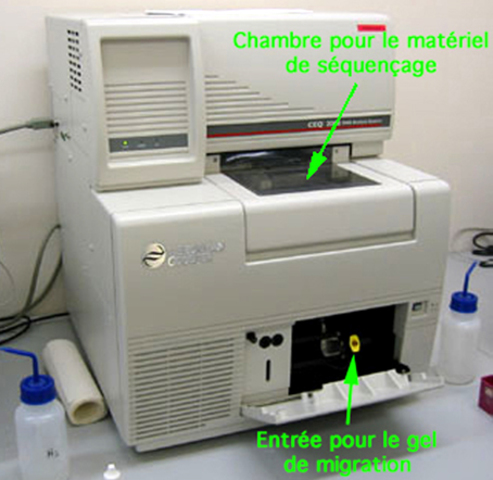 Secuenciador automatizado