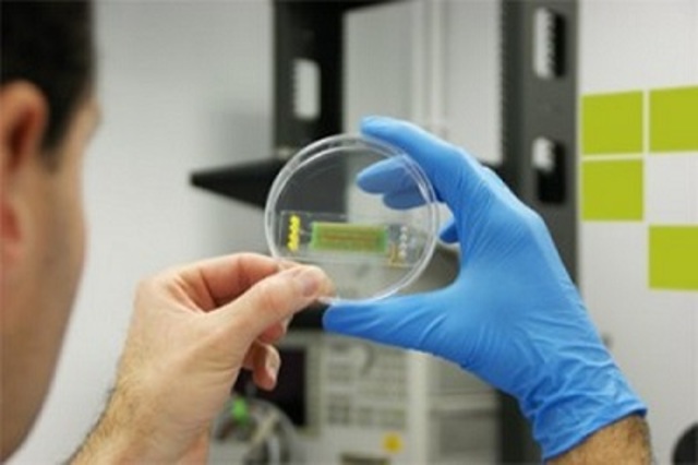 Primera Compañía especializada Ingeniería