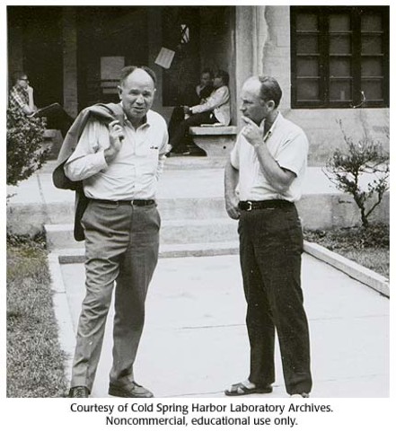 Paul Zamecnik y Mahlon Hoagland descubren que el ARNt funciona como adaptador.