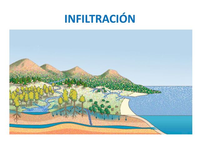 Periodo de racionalización