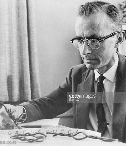 1965 Robert W. Holley