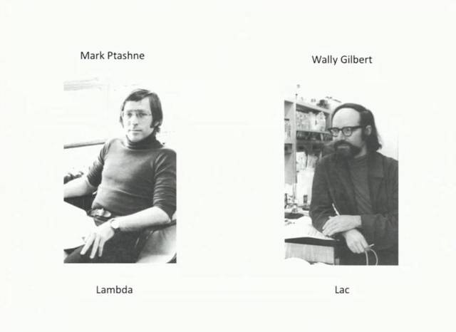 Mark Ptashe y Walter Gilbert