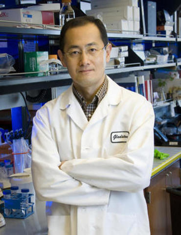 Shinya Yamanaka descubrir cómo se puede "reprogramar" células maduras para que se "conviertan en células inmaduras capaces de transformarse en cualquier tejido".