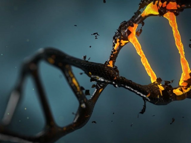 Se da la primera edición de un embrión humano.