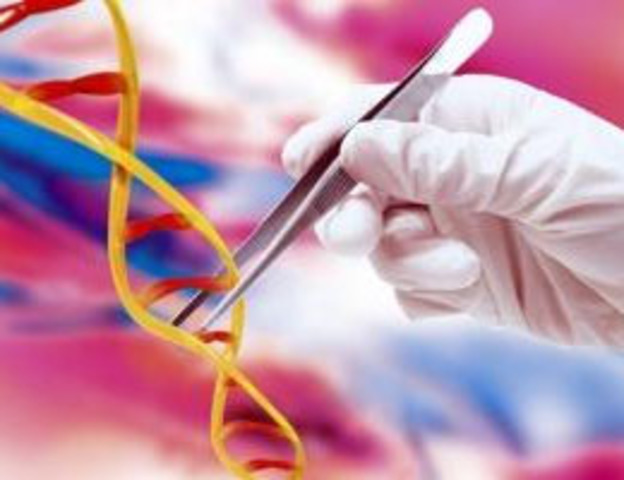 Importancia de Meischer en la Historia de la Biología Molecualr