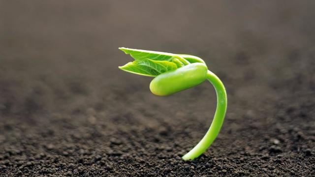 Concepción mental del ARN y ADN por biólogos de la época