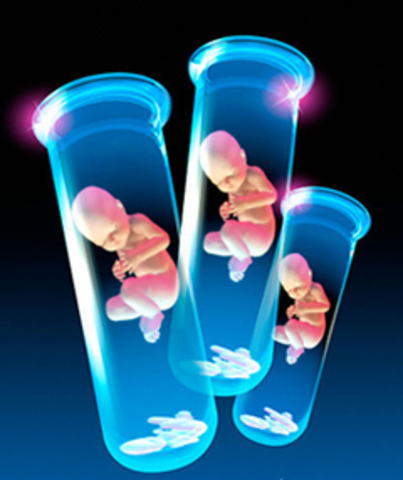 Falla en la clonacion de embriones humanos