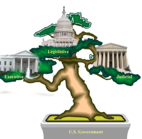 separation of powers