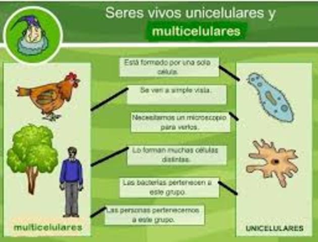 Postulados de la teoría celular.