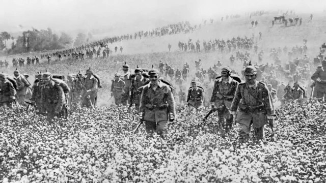 Main reasons for WW1