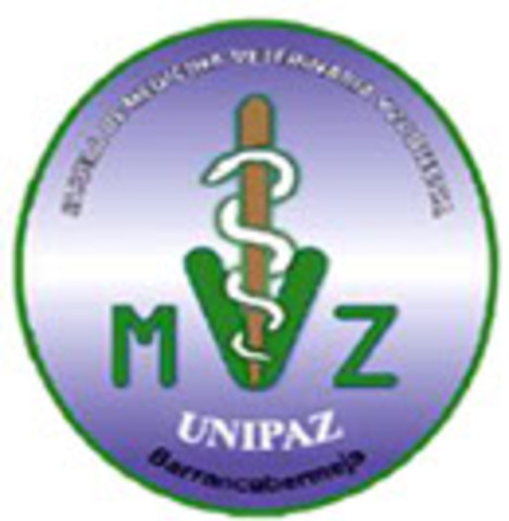 PRIMER PROGRAMA UNIPAZ